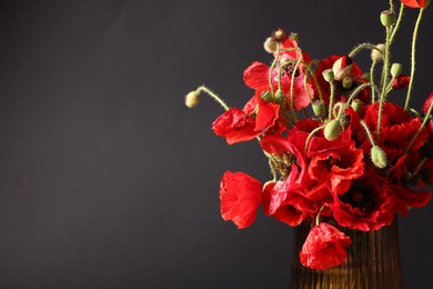 Photo of Beautiful red poppy flowers in vase on black background, closeup. Space for text