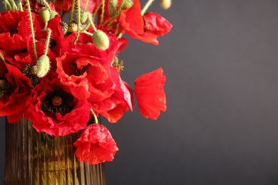 Photo of Beautiful red poppy flowers in vase on black background, closeup. Space for text