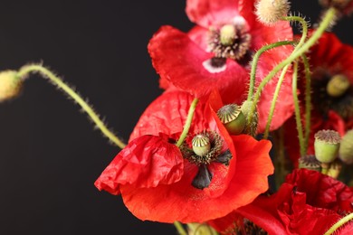 Photo of Beautiful red poppy flowers on black background, closeup