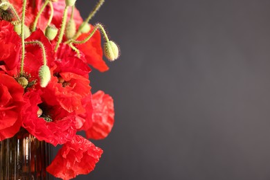 Photo of Beautiful red poppy flowers in vase on black background, closeup. Space for text