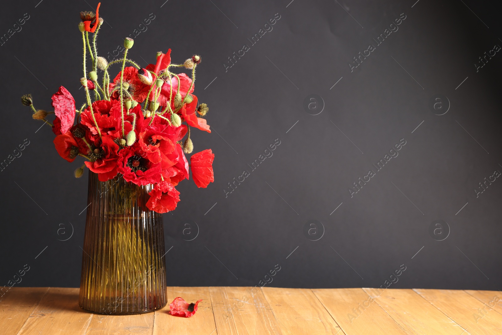 Beautiful red poppy flowers in vase on wooden table against black background. Space for text Photo of Beautiful red poppy flowers in vase on wooden table against black background. Space for text