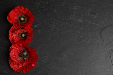 Photo of Bright red poppy flowers on black background, flat lay. Space for text