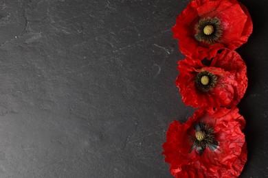 Photo of Bright red poppy flowers on black background, flat lay. Space for text