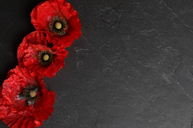 Photo of Bright red poppy flowers on black background, flat lay. Space for text