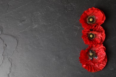 Photo of Bright red poppy flowers on black background, flat lay. Space for text