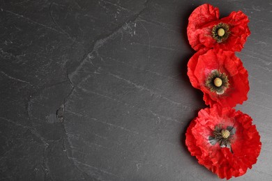 Photo of Bright red poppy flowers on black background, flat lay. Space for text