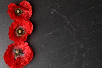 Photo of Bright red poppy flowers on black background, flat lay. Space for text