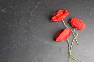 Photo of Bright red poppy flowers on black background, flat lay. Space for text