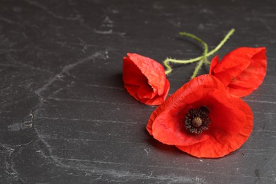 Photo of Bright red poppy flowers on black table, closeup. Space for text
