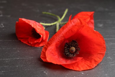 Photo of Bright red poppy flowers on black table, closeup