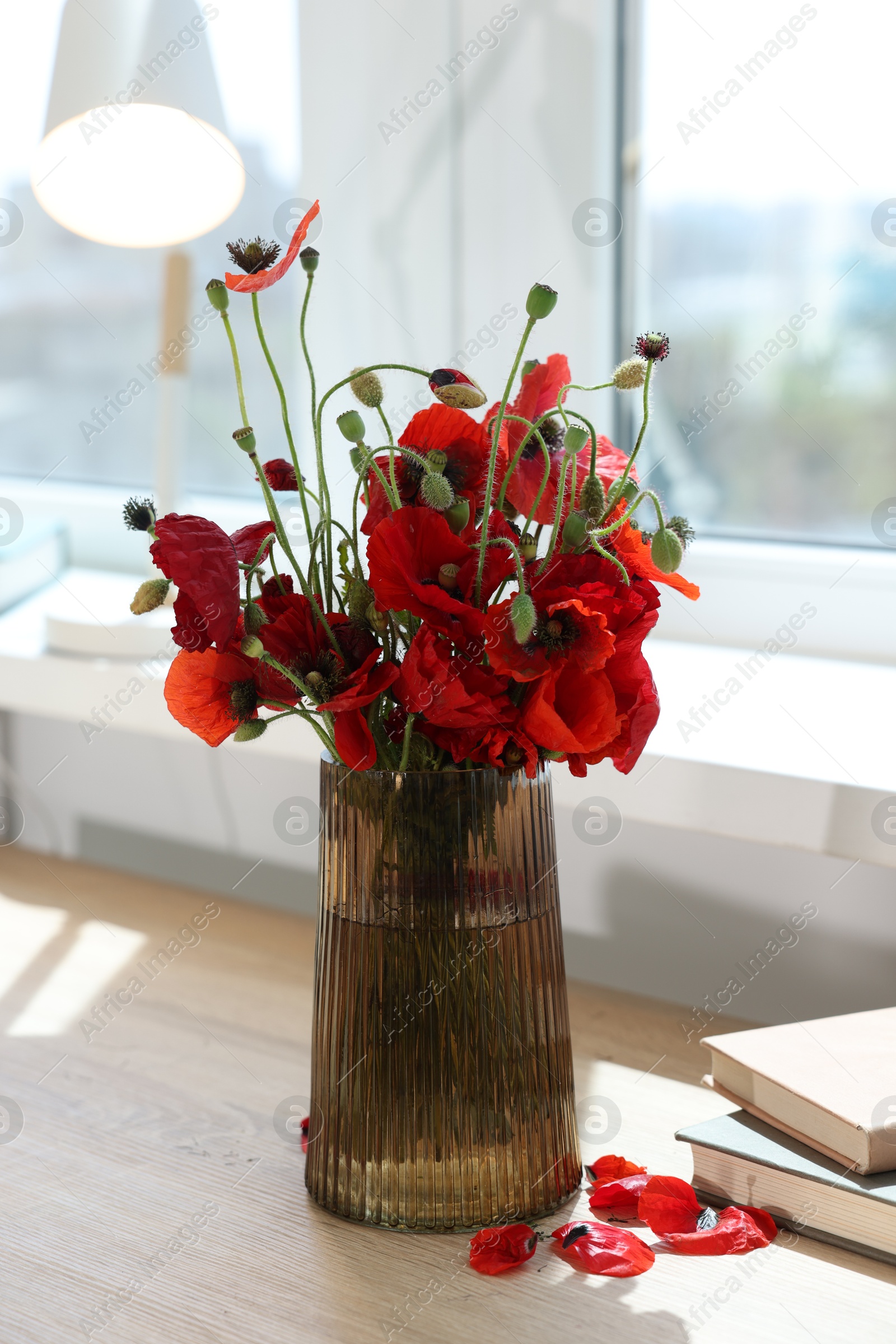 Photo of Beautiful poppy flowers in vase on wooden table at home