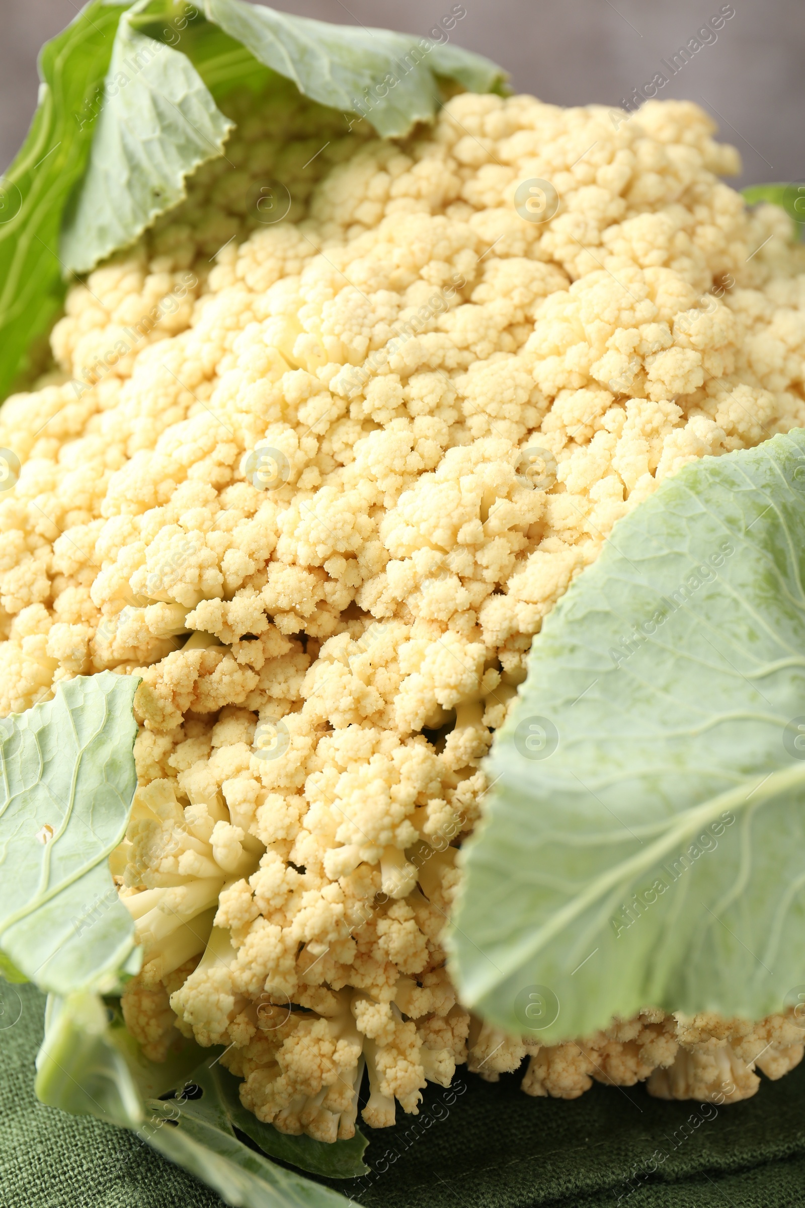 Fresh cauliflower with green leaves on table, closeup Photo of Fresh cauliflower with green leaves on table, closeup