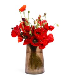 Photo of Beautiful red poppy flowers in vase isolated on white