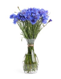 Photo of Beautiful blue cornflowers in vase isolated on white