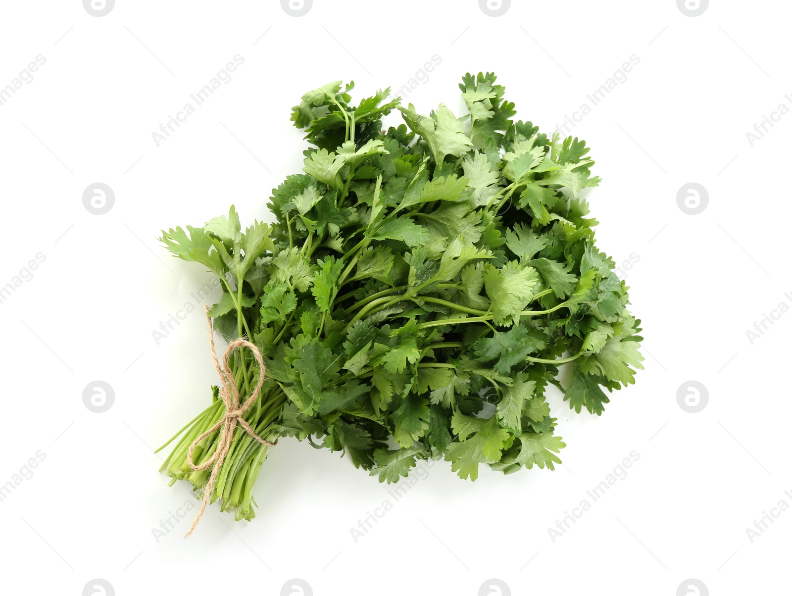 Bunch of aromatic cilantro isolated on white, top view Photo of Bunch of aromatic cilantro isolated on white, top view