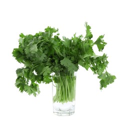 Photo of Bunch of aromatic cilantro in glass isolated on white