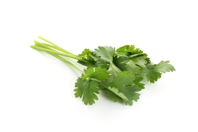 Photo of Sprigs of aromatic cilantro isolated on white