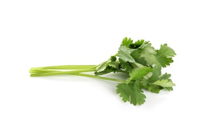 Photo of Sprigs of aromatic cilantro isolated on white