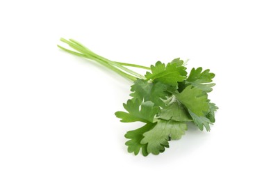 Photo of Sprigs of aromatic cilantro isolated on white