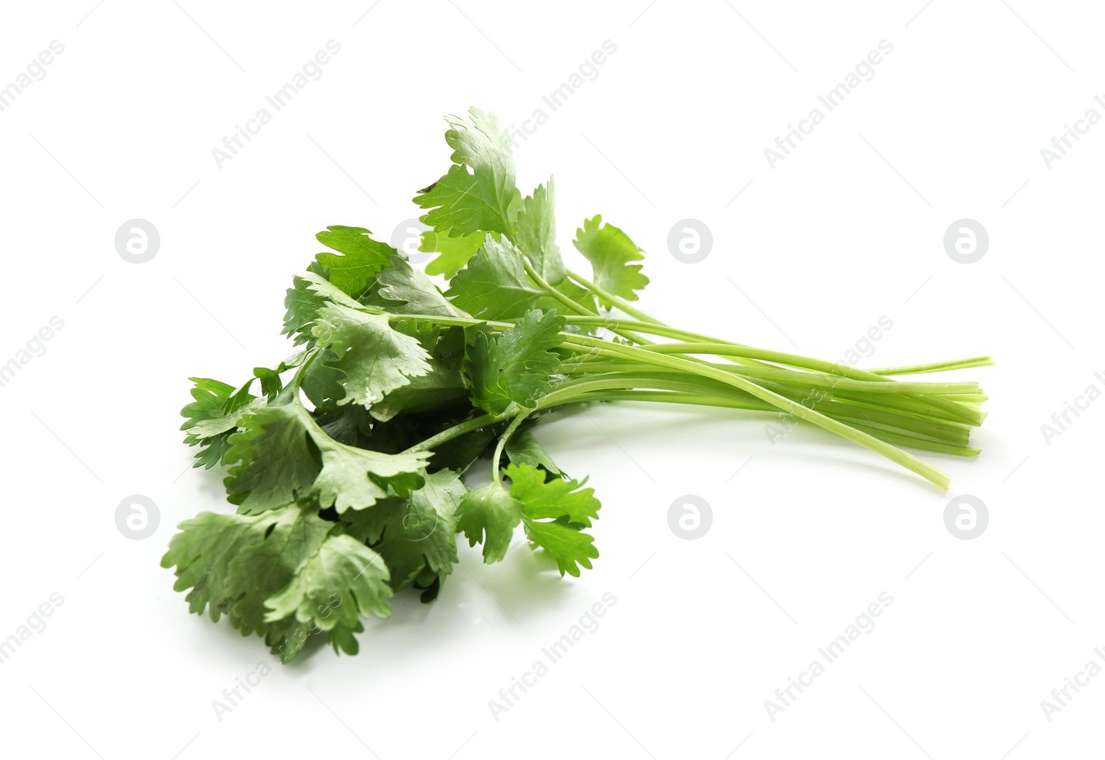 Sprigs of aromatic cilantro isolated on white Photo of Sprigs of aromatic cilantro isolated on white