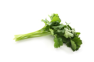 Photo of Sprigs of aromatic cilantro isolated on white