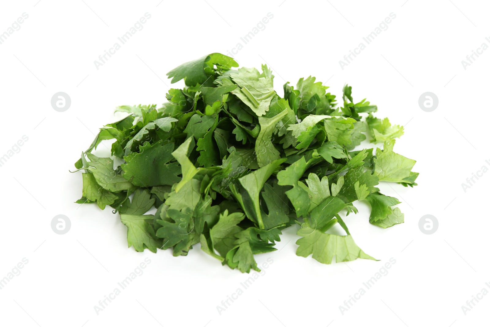 Photo of Leaves of fresh cilantro isolated on white
