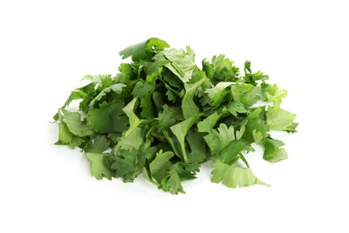 Photo of Leaves of fresh cilantro isolated on white