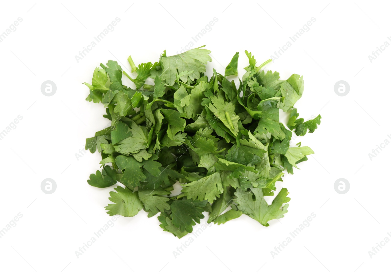 Photo of Leaves of fresh cilantro isolated on white, top view