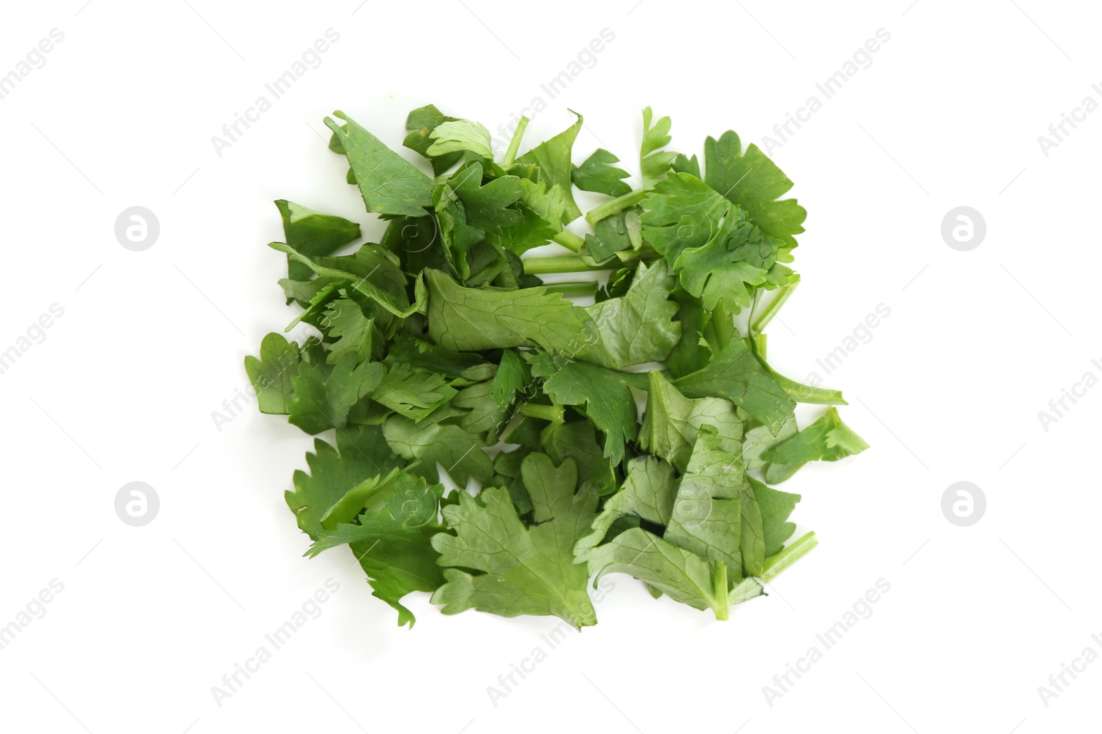 Photo of Leaves of fresh cilantro isolated on white, top view
