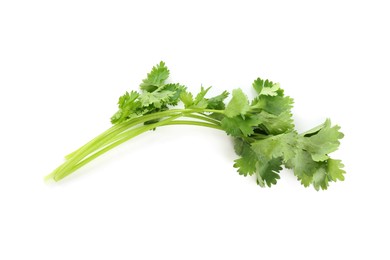 Photo of Sprigs of aromatic cilantro isolated on white, top view