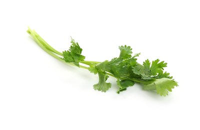 Photo of Sprigs of aromatic cilantro isolated on white