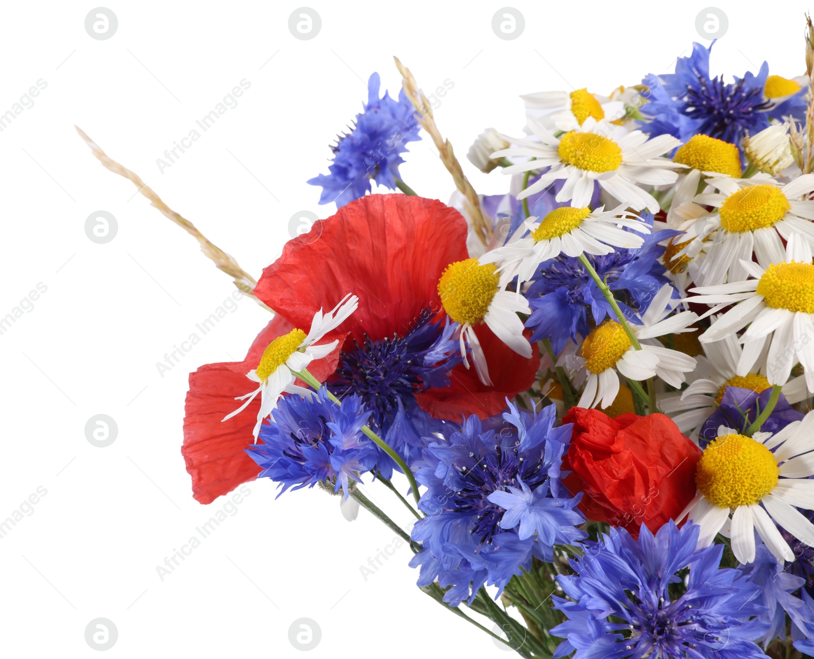 Bouquet of beautiful wildflowers isolated on white Photo of Bouquet of beautiful wildflowers isolated on white