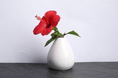 Photo of Beautiful red hibiscus flower in vase on black table against white background