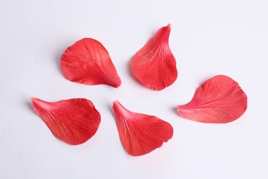 Photo of Beautiful red hibiscus petals on white background, flat lay