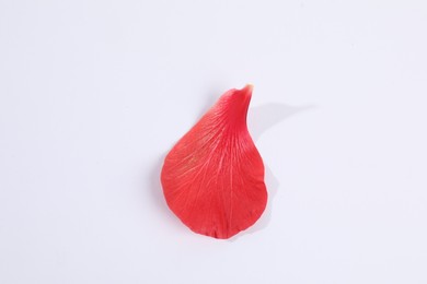 Photo of Beautiful red hibiscus petal on white background, top view