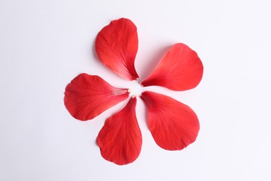 Photo of Beautiful red hibiscus petals on white background, flat lay