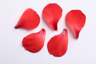 Photo of Beautiful red hibiscus petals on white background, flat lay
