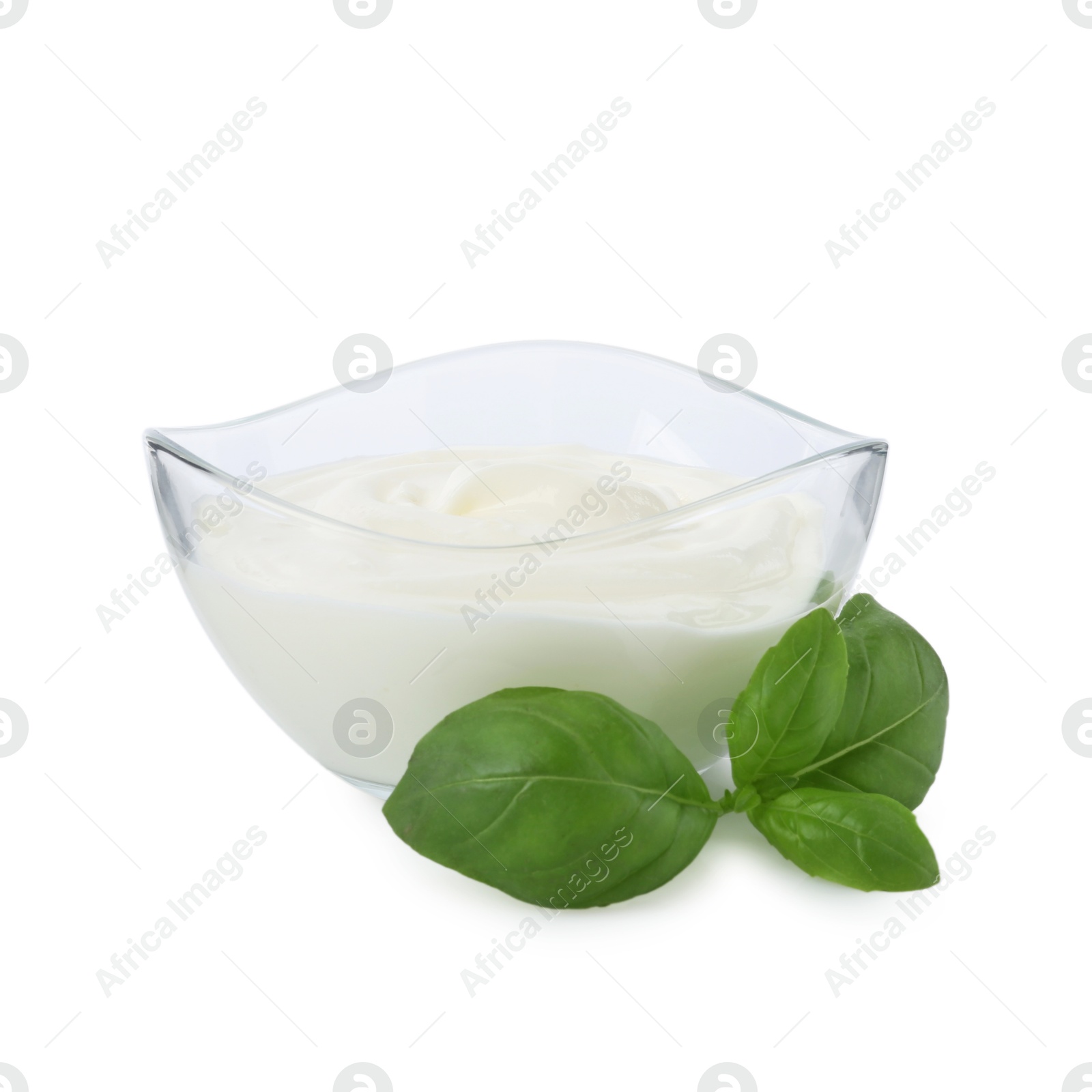 Tasty yoghurt in bowl and basil isolated on white Photo of Tasty yoghurt in bowl and basil isolated on white
