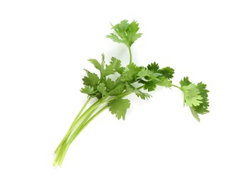 Photo of Sprigs of aromatic cilantro isolated on white, top view