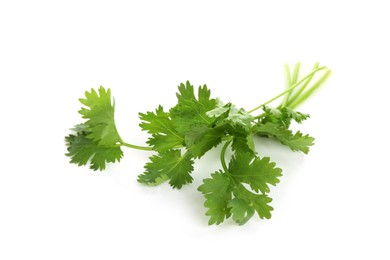 Photo of Sprigs of aromatic cilantro isolated on white