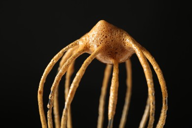 Photo of Making delicious dalgona coffee. Whisk with cream on black background, closeup