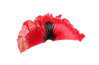 Photo of Petal of red poppy flower isolated on white