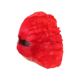 Photo of Petal of red poppy flower isolated on white