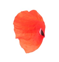 Photo of Petal of red poppy flower isolated on white
