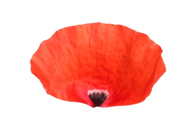 Photo of Petal of red poppy flower isolated on white
