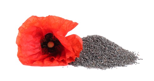 Photo of Heap of poppy seeds and flower isolated on white