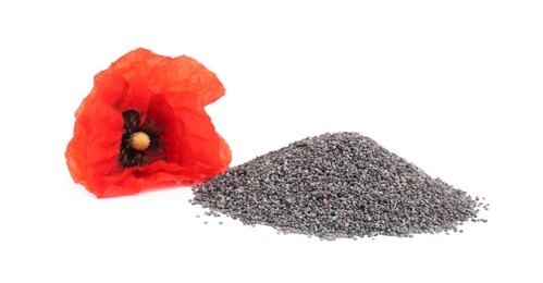 Photo of Heap of poppy seeds and flower isolated on white