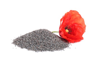 Photo of Heap of poppy seeds and flower isolated on white