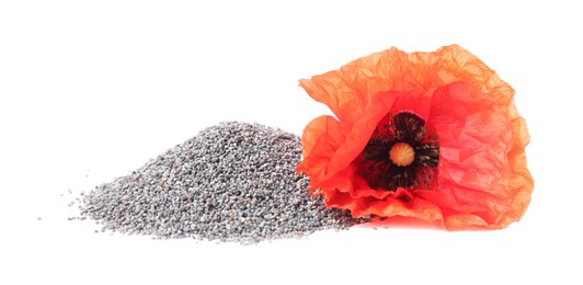 Photo of Heap of poppy seeds and red flower isolated on white