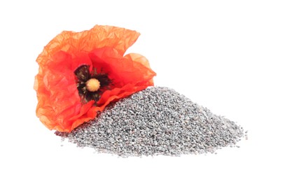 Photo of Heap of poppy seeds and red flower isolated on white